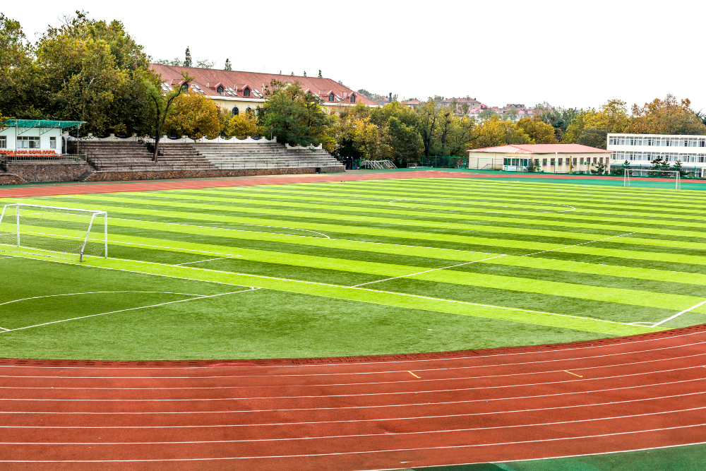 Best sports infrastructure companies in India: Compare these options to make a smart choice.